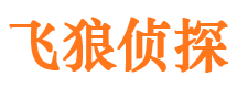 浦江侦探公司